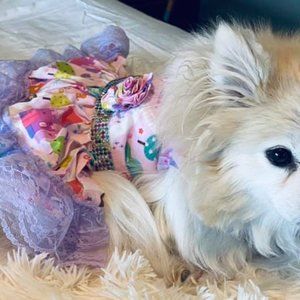 Small Dog, Cat or Bunny Princess & Castle Dress